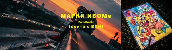 индика Богородск
