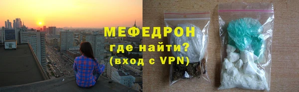 индика Богородск