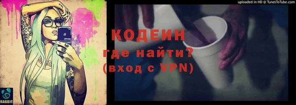 индика Богородск