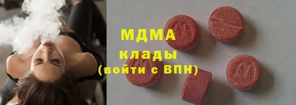 индика Богородск