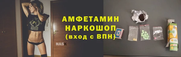 индика Богородск