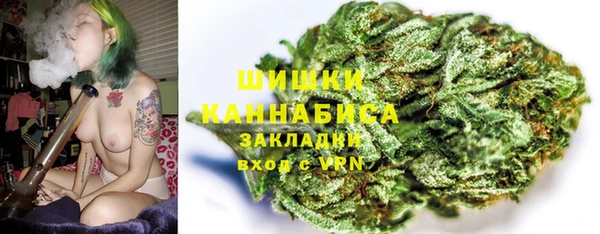 индика Богородск