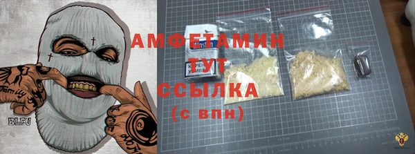 индика Богородск