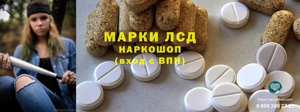 индика Богородск