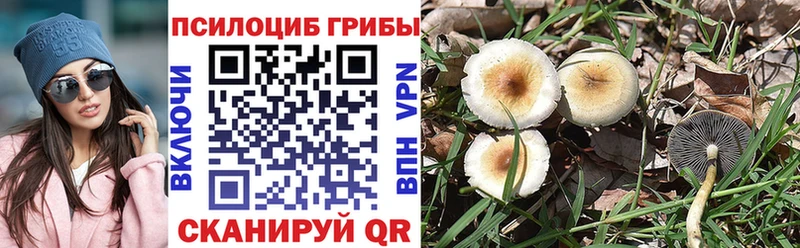 Галлюциногенные грибы мухоморы  Ангарск 